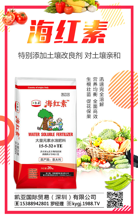 ���X�ݵĮa�طֲ����ģ����X�ݷNֲע�������