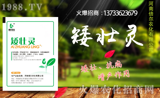 ���ϱ����m(x��)�s1988.TV���y�ֹ���(chu��ng)���x����