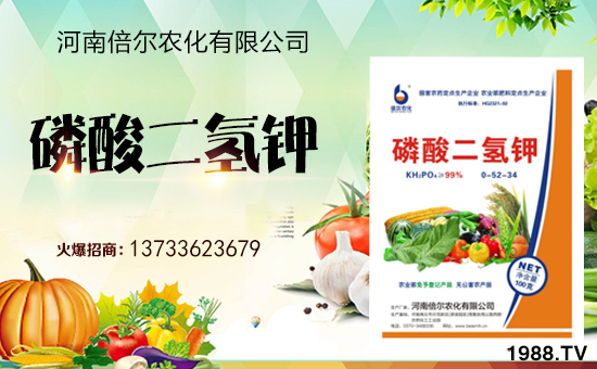 ���ϱ����m(x��)�s1988.TV���y�ֹ���(chu��ng)���x�ͣ�