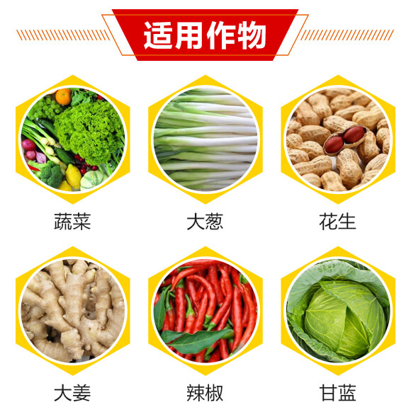 14%�x�������x��-������-��(r��n)������_04