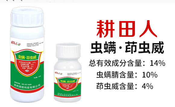 14%�x�������x��-������-��(r��n)������_02