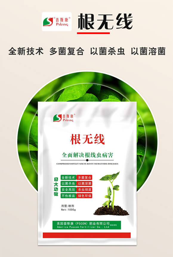 ���o(w��)��-��˹��_01