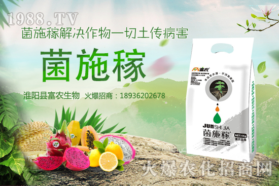 2020年農(nóng)村種野菜賺錢(qián)嗎?選擇哪些野菜品種效益高?建議收藏!