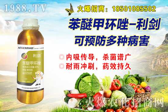 ����ȱ��