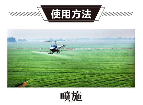 ̼?x��)�˷?�{(l��n)���T-̼?x��)�?gu��)�H_11