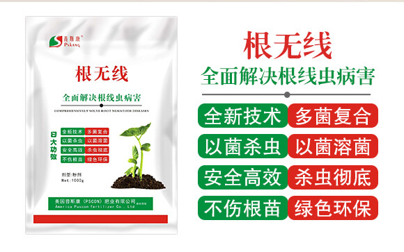 ���o(w��)��-��˹��_02