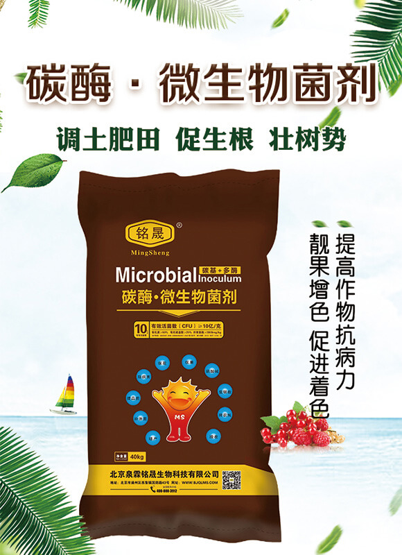 10�|���̼ø��΢�������-Ȫ�����_01