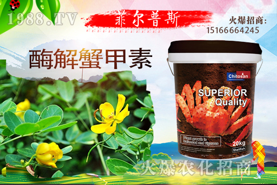 ������ô�Nֲ�������Nֲ���g(sh��)Ҫ�c��