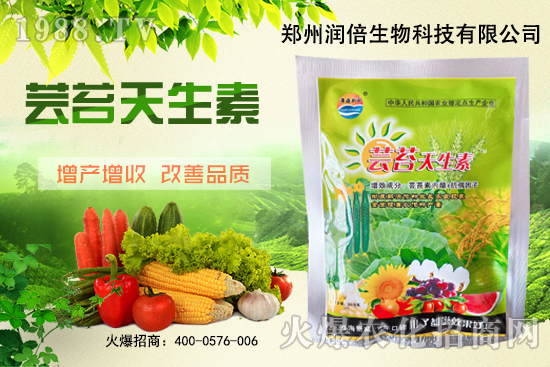 �S�B������ô�������S�B���ڲ��x�����Σ�