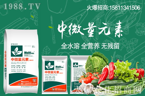 ��(f��)�Ϸʃr��