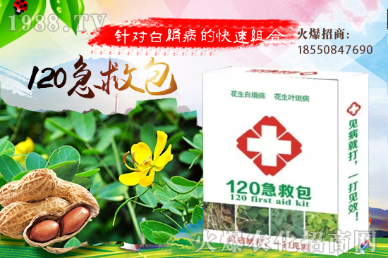 ���^��Ʒ�N����Щ�����^��ķNֲЧ�������