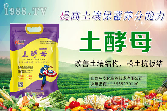 蔬菜輪作有什么好處,蔬菜輪作原則和注意要點!