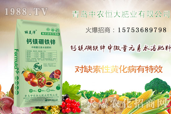 韭菜什么時候播種?韭菜市場前景如何?(附種植成本及利潤分析)