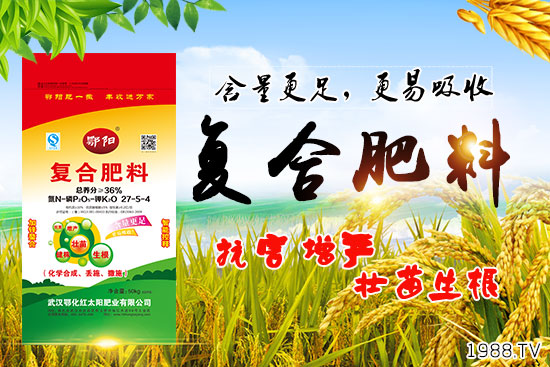 Ѫ������Щ�I�B(y��ng)�rֵ����Ѫ����ʲô��̎��