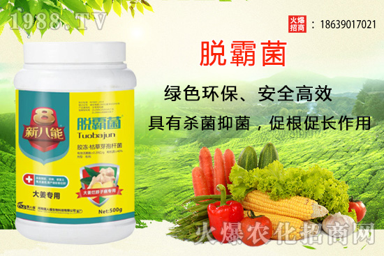 �����Nֲ�xʲôƷ�N�������Nֲǰ��������Ʒ�N���]��