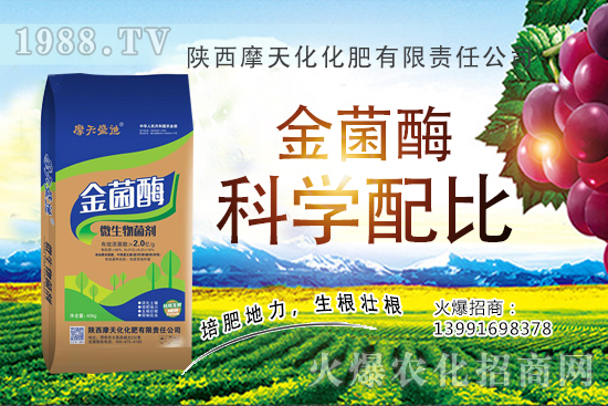 �Nһ���O���ĳɱ��Ƕ������ж����������O���Nֲ���g(sh��)�c������