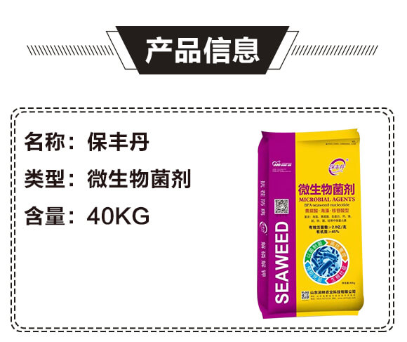 ΢�������-���S��-�����r(n��ng)�I(y��)_02