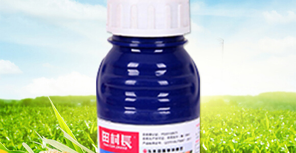 ���׳��݄��⚢�͡�����L_02