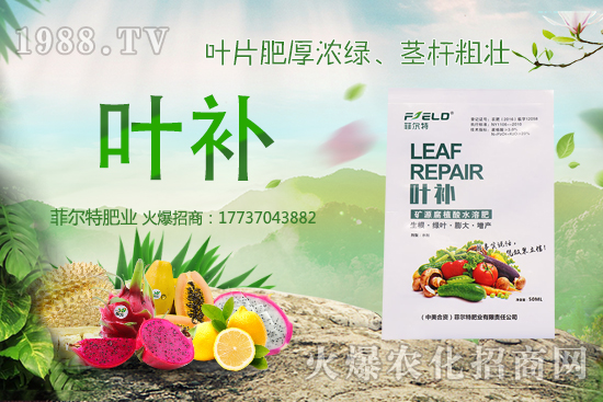 �o(w��)�����Nֲǰ����ô�����o(w��)�����Nֲ�r(sh��)�g�ͷ�����