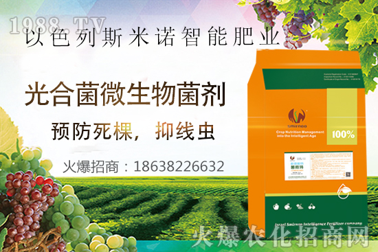 根結(jié)線蟲危害大,太難防?“菌微特”來(lái)幫忙!抑制線蟲和蟲卵,干凈!