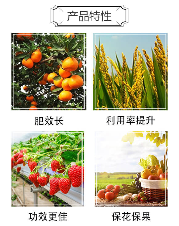 ���ȩ�ͺϷ���25-20-6-������_03