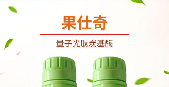 ���ӹ���̿��ø-������-���S���@_01