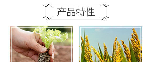 ���ӹ���̿��ø-������-���S���@_04