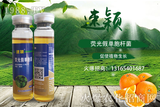 ���ٝ�����Σ��һ���һ����������ٝ�������η��أ�