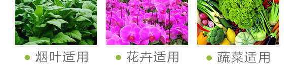 ����������-���S���@_09