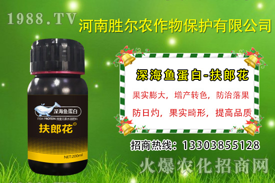 2020��7��13�ս��Շ�(gu��)��(n��i)���@�r(ji��)�����鼰�������u(p��ng)