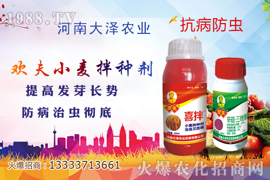 С����N������ô��Ҫ�ᣬ��νoС����N�������r(n��ng)��Ҫ�㶮��