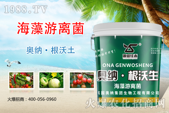 ���ӱ��W�{����Ʒ���u��������������o����ע��I�B(y��ng)�·�����