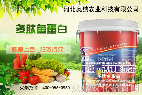 ���ӱ��W�{����Ʒ���u��������������o����ע��I�B(y��ng)�·�����