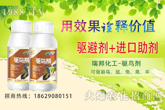 �ļ����@�B�������·������������������@�(q��)�B������