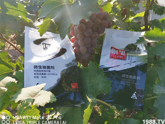 �îa(ch��n)Ʒ�����ã���һ�t���΢������������t���͑��挍������