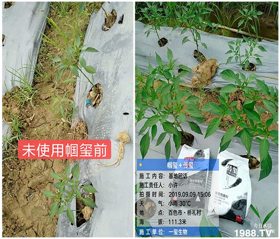 �îa(ch��n)Ʒ�����ã���һ�t���΢������������t���͑��挍������