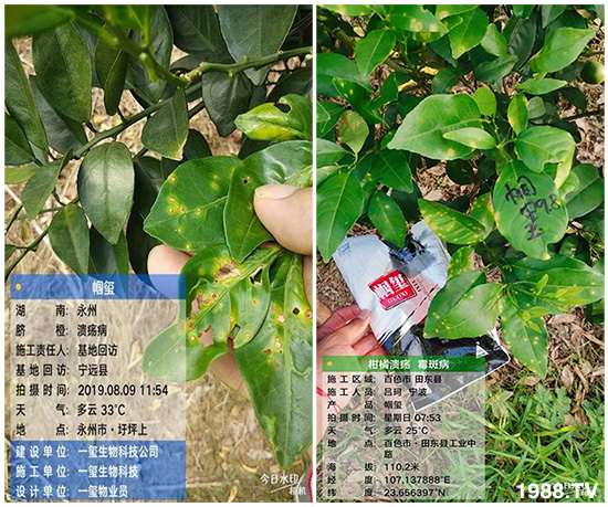 �îa(ch��n)Ʒ����������һ�t���΢������������t���͑��挍������