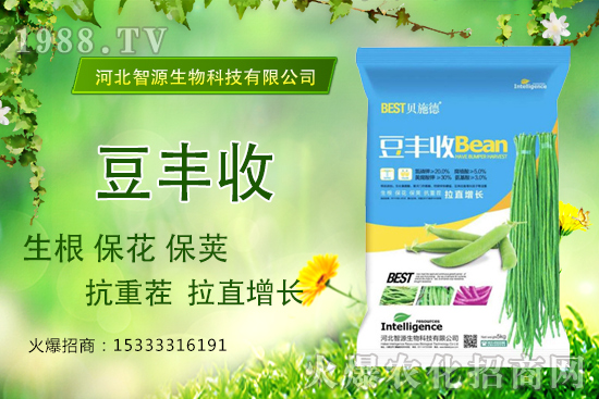 ���ˡ����S�ա���������ֱ���L�a(ch��n)���ߣ����S����ʲô��(y��u)����