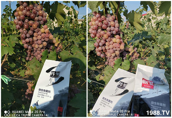 �îa(ch��n)Ʒ����������һ�t���΢������������t���͑��挍������