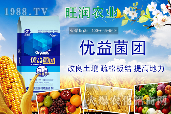 �����ЙC����ʲô�ʣ������ЙC�ʵă�(y��u)�����c�������ϵą^(q��)�e��