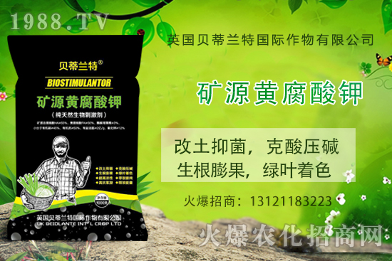 ���ÿ���ô�B(y��ng)�����ÿ��B(y��ng)ֳ������ע�����(xi��ng)��