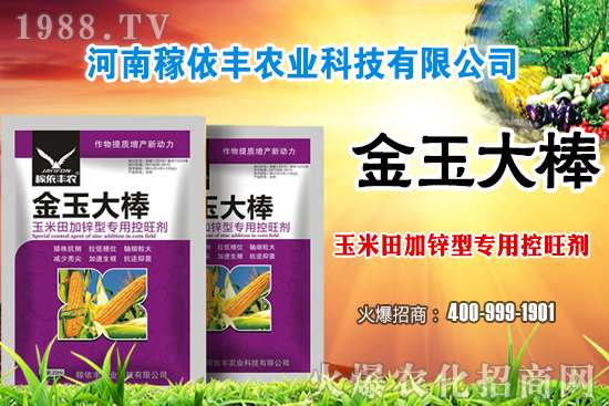 �����Ј�(ch��ng)ƽ��(w��n)�\(y��n)�О�������(g��)�e�؅^(q��)��С���q�������ո��؅^(q��)���؈�(b��o)�r(ji��)��