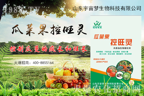 夏季高溫瓜菜果徒長(zhǎng),怎么解決?瓜菜果控旺產(chǎn)品怎么選?