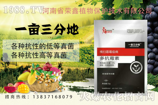 �׷����C����˪ù�������y��������ˎ������Щ�������a(ch��n)Ʒ�R����