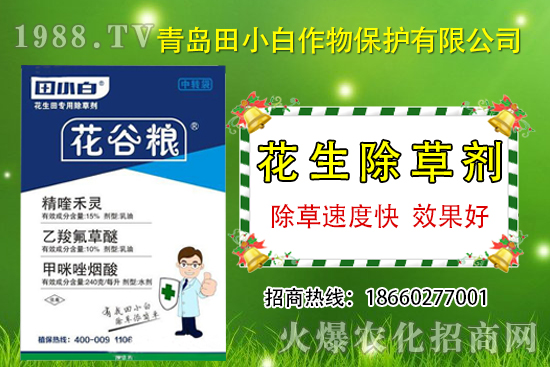 �������s�ݷN����������݄���ô�x������������ˎ���]��