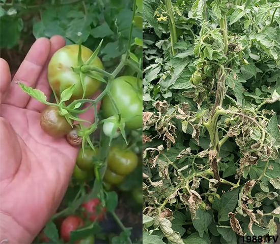 ����������ΰl(f��)���ģ��Л](m��i)�кõķ��δ�ʩ�������@�ׂ�(g��)����߀�о���