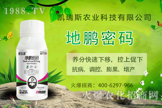 �P��˹�r(n��ng)�I(y��)��ô�����P��˹�r(n��ng)�I(y��)����a(ch��n)Ʒ����Щ��