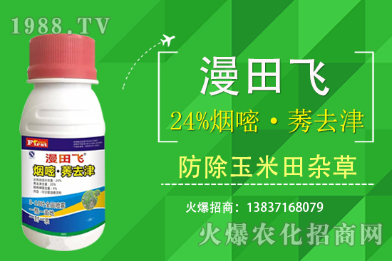 24%���ס�ݬȥ�����Ч���Æ���24%���ס�ݬȥ����ʲô���c��