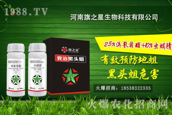 ������֮����ô����������֮�ǚ����aƷ����Щ��