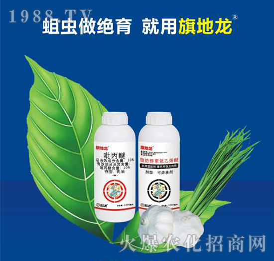 ������֮����ô����������֮�ǚ����aƷ����Щ��